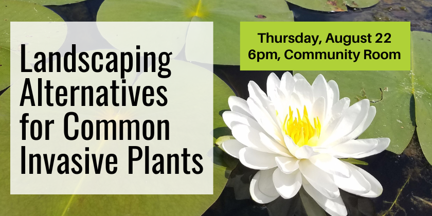 Landscaping Alternatives for Common Invasive Plants Thursday, August 22